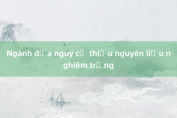 Ngành dừa nguy cơ thiếu nguyên liệu nghiêm trọng