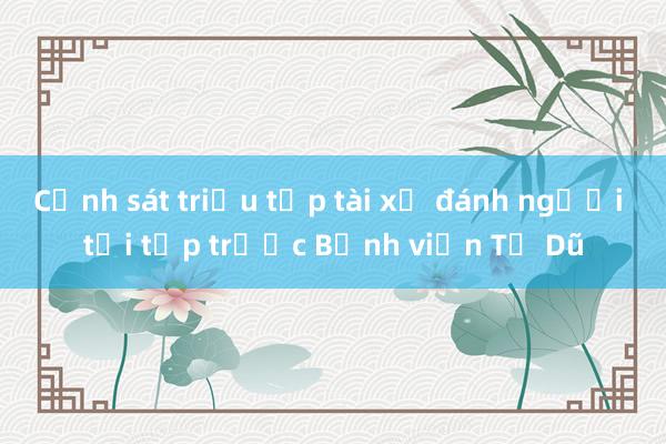 Cảnh sát triệu tập tài xế đánh người tới tấp trước Bệnh viện Từ Dũ