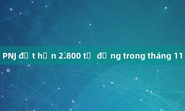 PNJ đạt hơn 2.800 tỷ đồng trong tháng 11