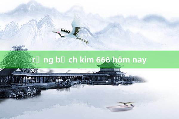 rồng bạch kim 666 hôm nay