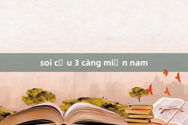 soi cầu 3 càng miền nam