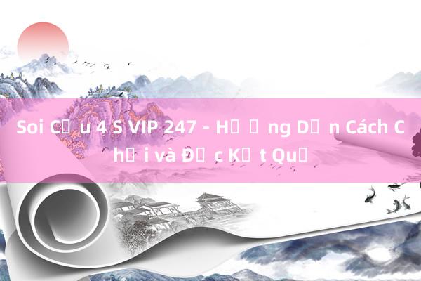 Soi Cầu 4 S VIP 247 - Hướng Dẫn Cách Chơi và Đọc Kết Quả