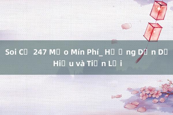 Soi Củ 247 Mẹo Mín Phí_ Hướng Dẫn Dễ Hiểu và Tiện Lợi