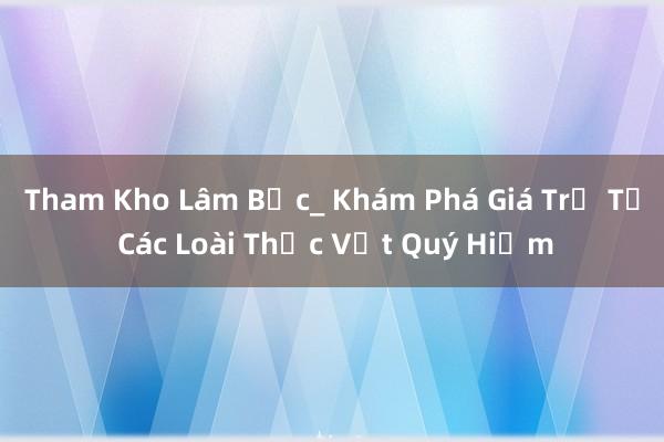 Tham Kho Lâm Bạc_ Khám Phá Giá Trị Từ Các Loài Thực Vật Quý Hiếm