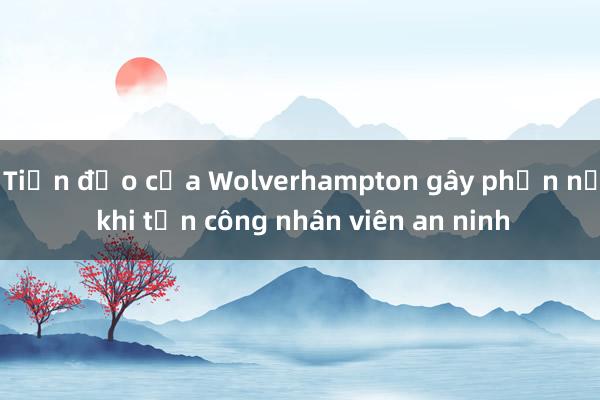 Tiền đạo của Wolverhampton gây phẫn nộ khi tấn công nhân viên an ninh