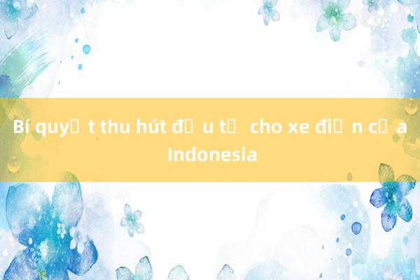 Bí quyết thu hút đầu tư cho xe điện của Indonesia