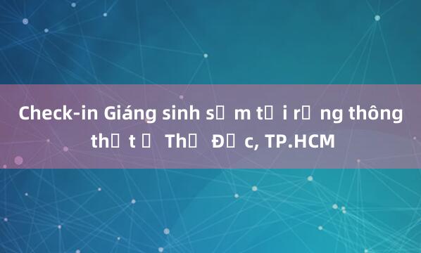 Check-in Giáng sinh sớm tại rừng thông thật ở Thủ Đức, TP.HCM