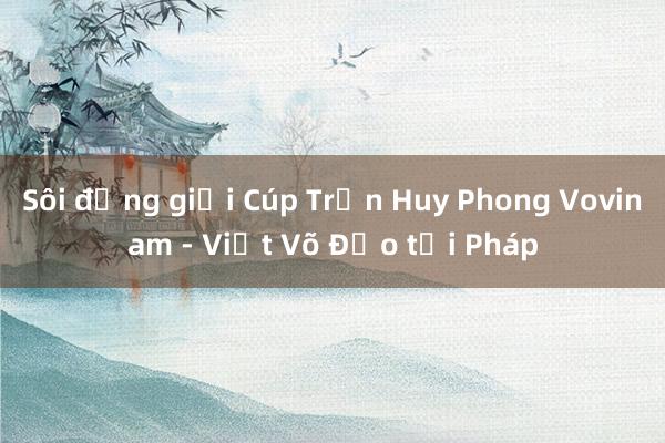 Sôi động giải Cúp Trần Huy Phong Vovinam - Việt Võ Đạo tại Pháp